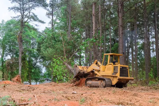 Santos Sarmiento Tree Service's other services
