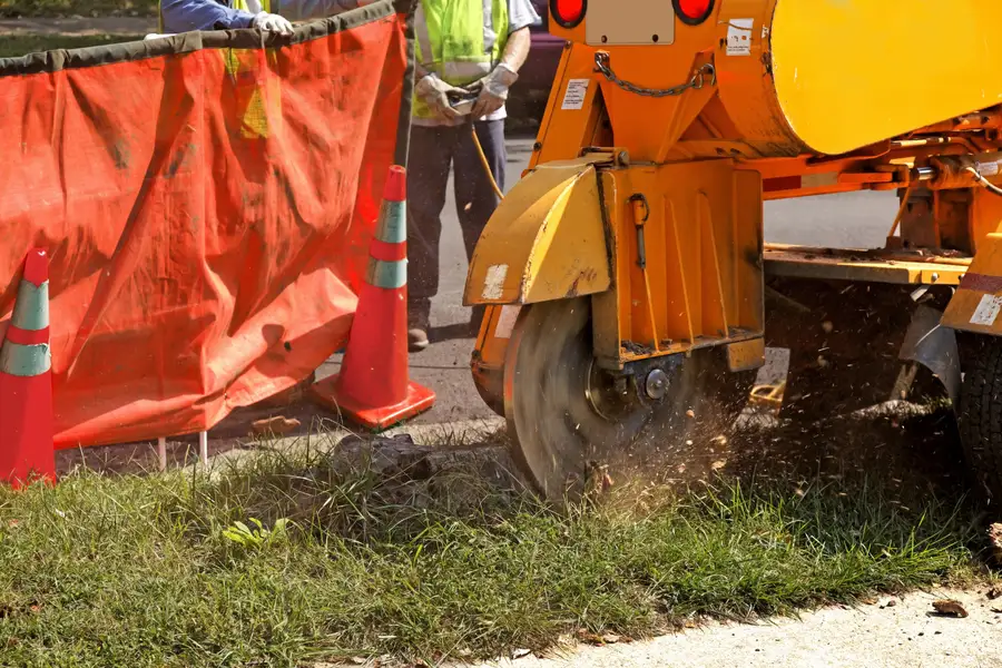 Experienced Stump Grinding Conroe, TX