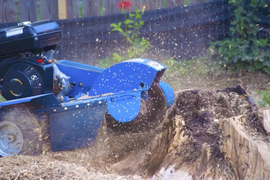 Premium Stump Grinding Conroe, TX