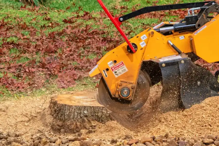 Top-rated Stump Grinding Conroe, TX